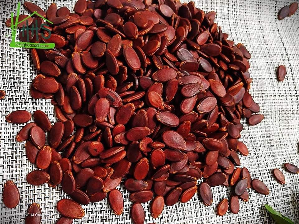 (FREESHIP) 1kg Hạt dưa rang củi không phẩm màu - Chợ Bến Tre