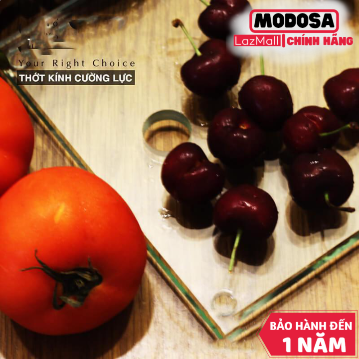 Thớt Kính Modosa Cường Lực Sala