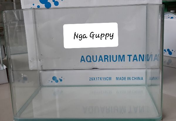 [HCM]Bể cá đúc mặt cong 26 x 17 x 19 cm