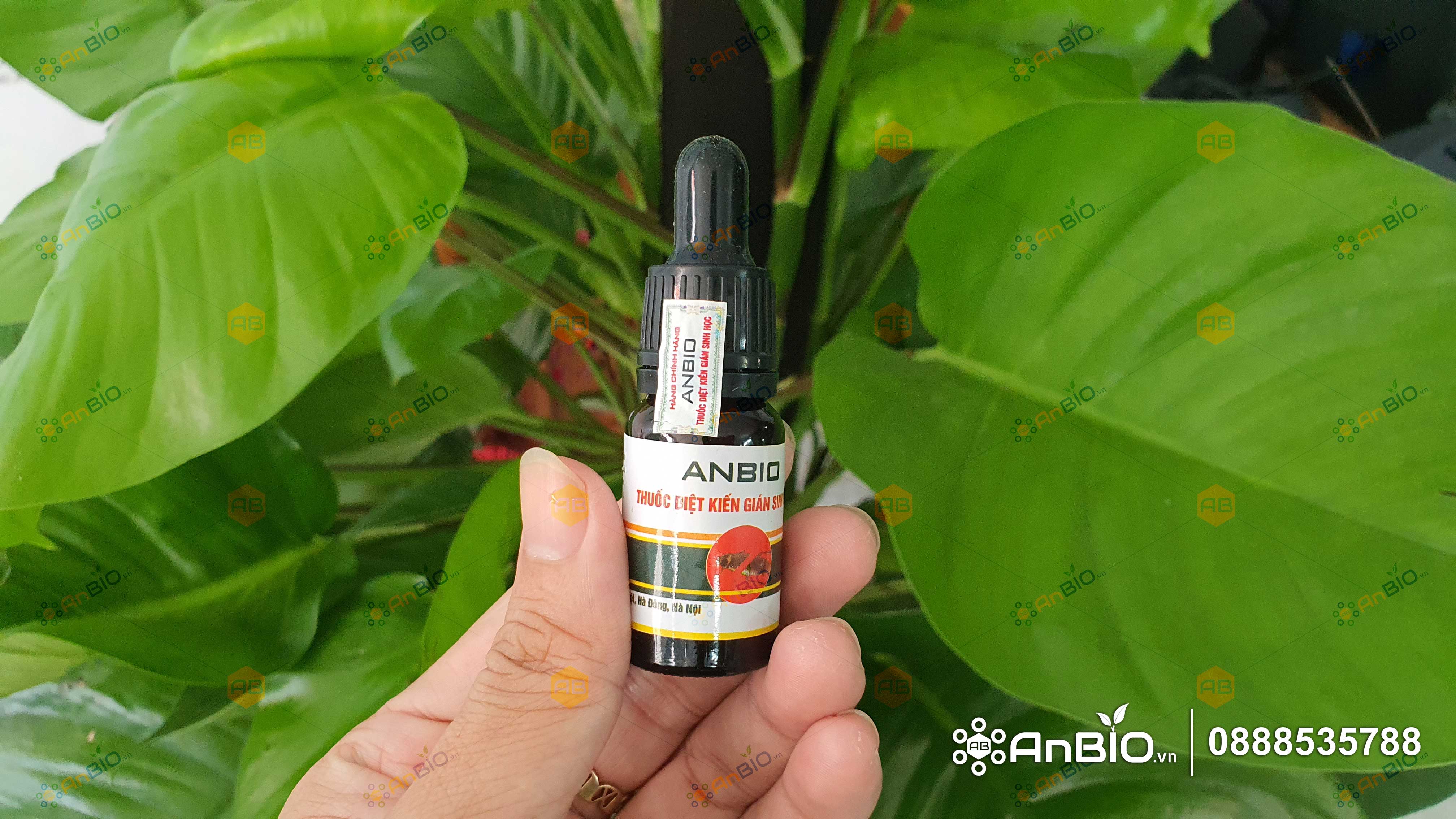 Thuốc diệt kiến gián sinh học ANBIO - 2 lọ 10ml