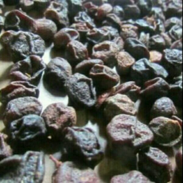 500g hạt mắc mật ( móc mật)