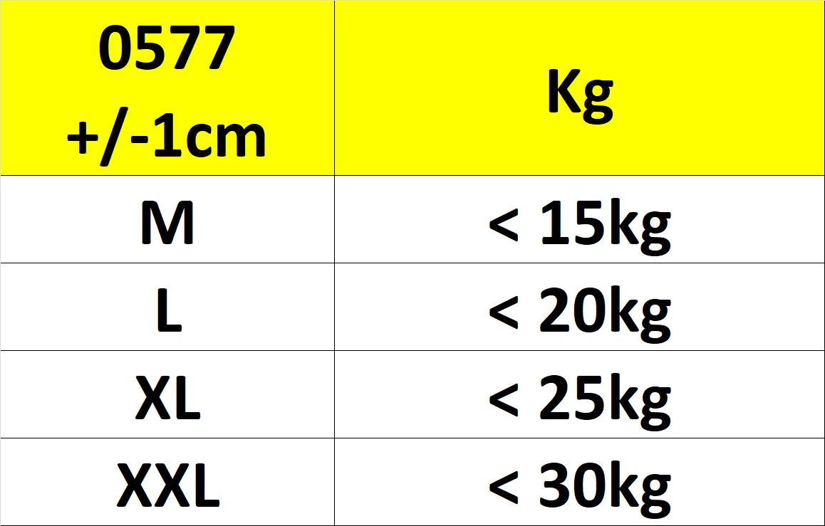 [HCM]COMBO 5 QUẦN CHIP BÉ GÁI HÌNH HEO 0577