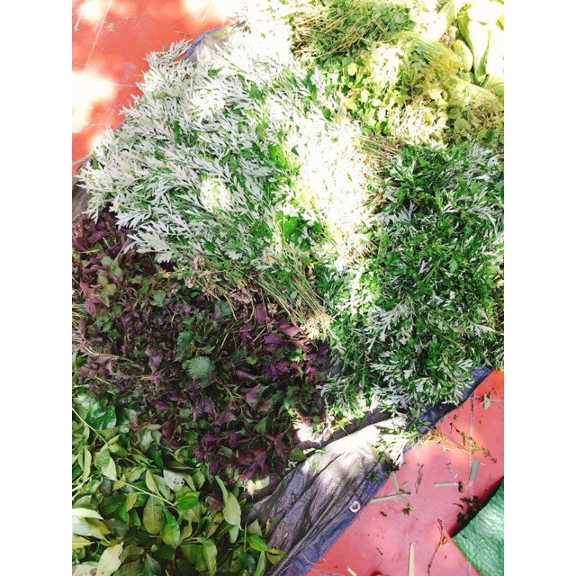 THẢO DƯỢC TẮM BÉ