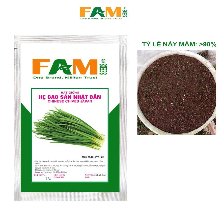 Gói 1gr Hạt giống Hẹ Cao Sản Nhật Bản - Nảy mầm tốt, Năng suất cao, Dễ trồng dễ chăm, Chống chịu khỏe