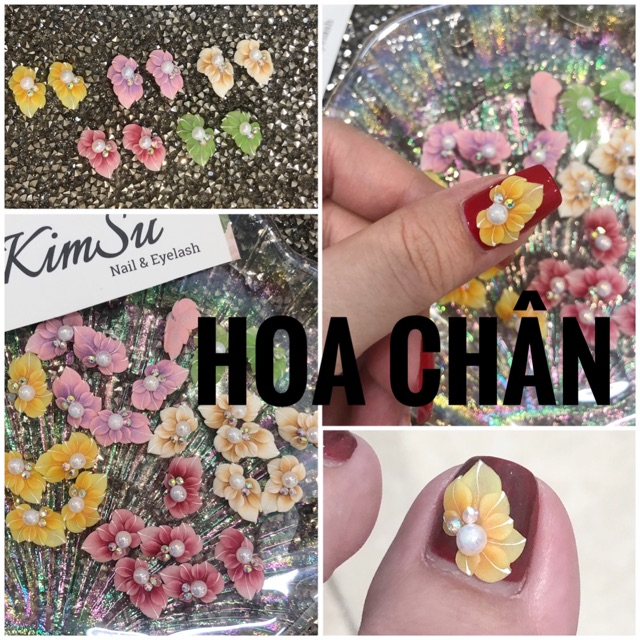 Hoa bột chân - cúc vẽ (chân hoặc tay cái)
