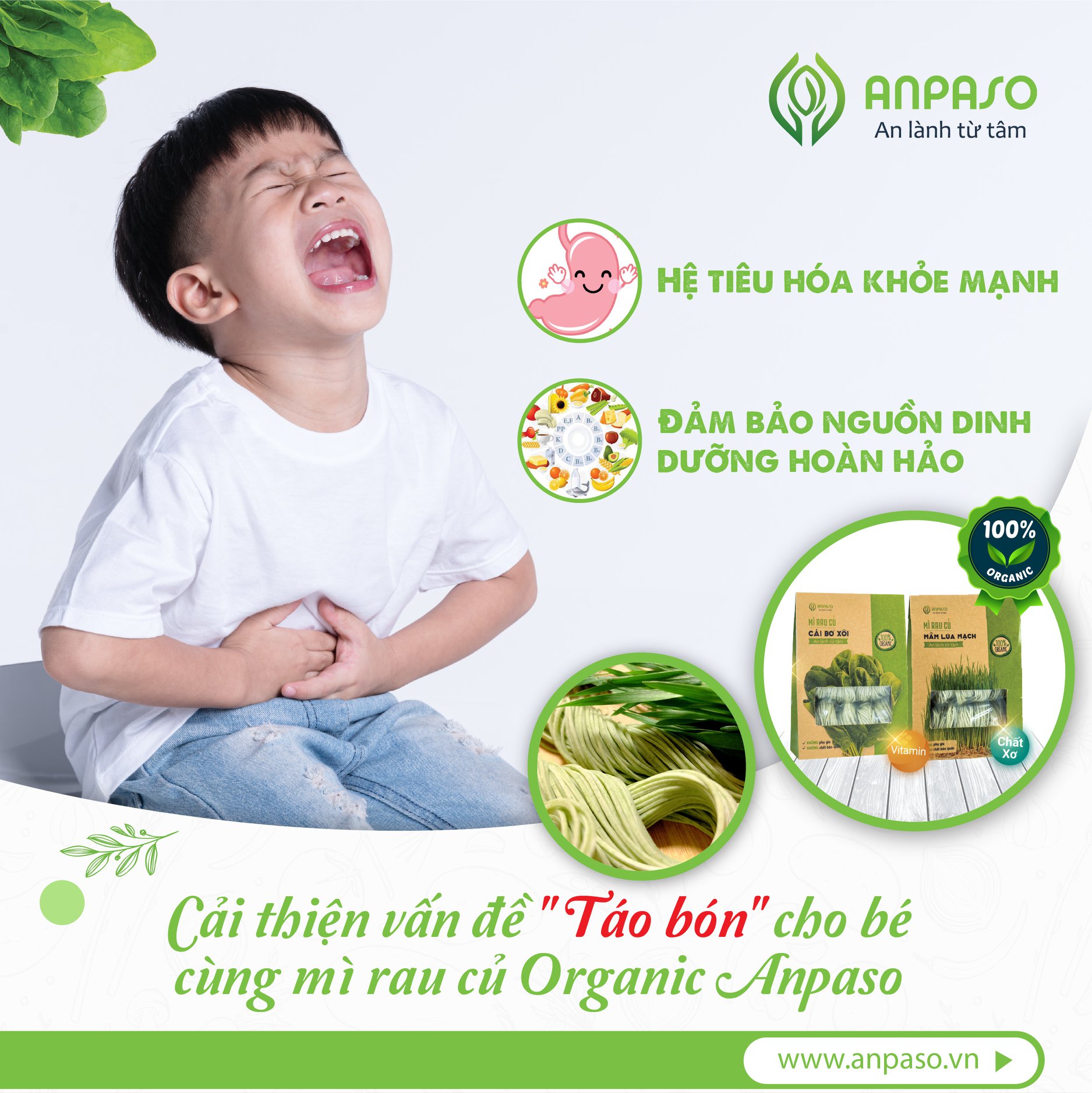 [FREESHIP] Mì Mầm Lúa Mạch Ăn Dặm Organic Anpaso 300g