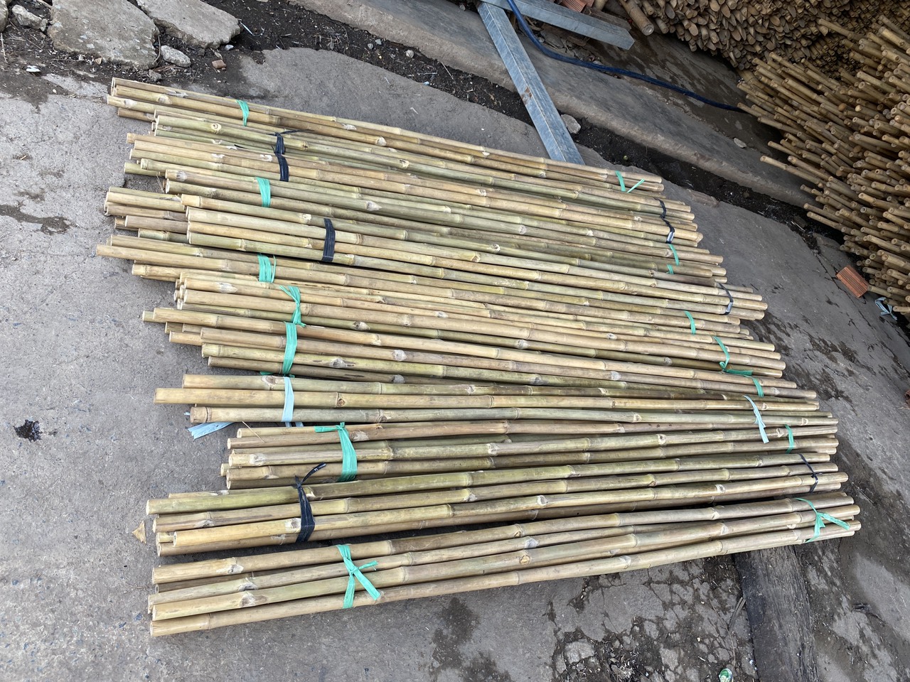 [HCM]Cây tre tầm vông dài 1m