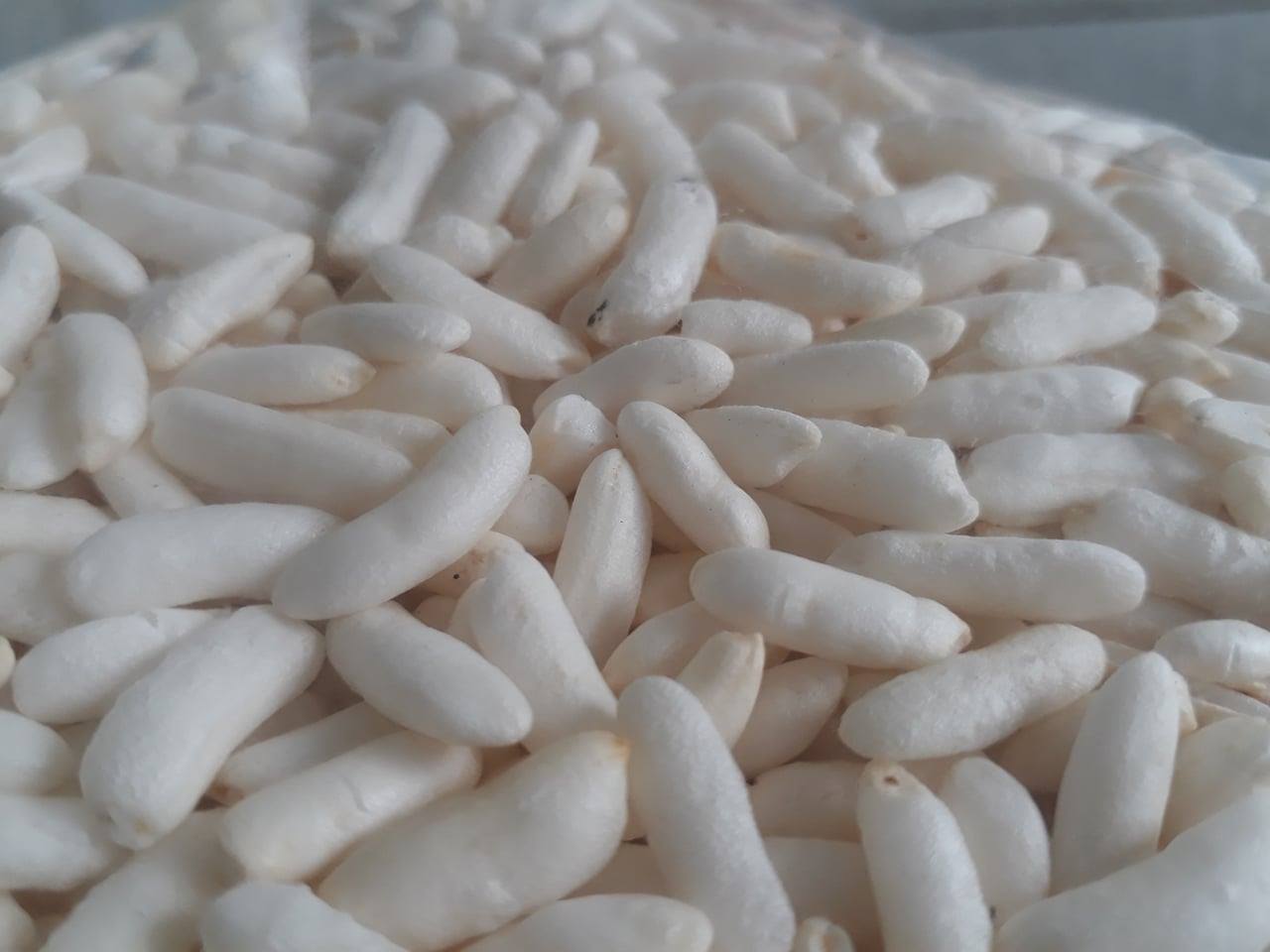 Bánh cốm 500g cho hamster