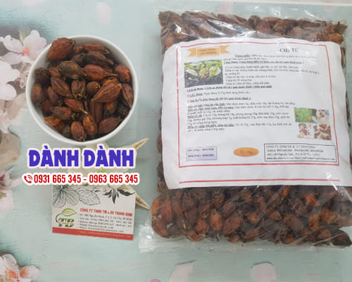 Quả Dành Dành ( Chi Tử ) Khô 1KG - Đông Y Thanh Bình