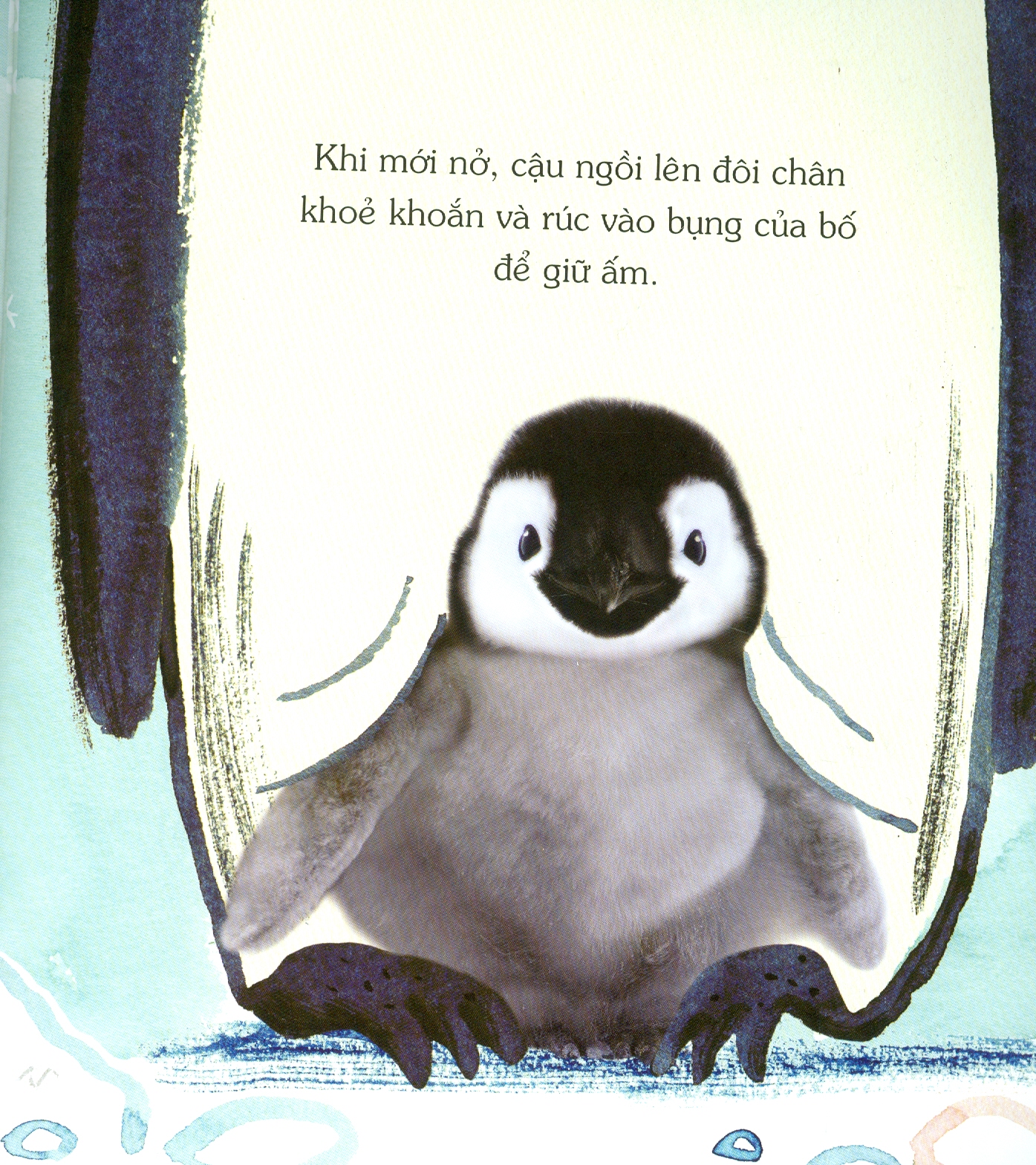 Ngủ Ngon Nhé, Chim Cánh Cụt Nhỏ!