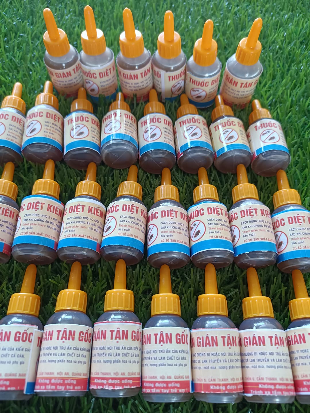 [Combo 20,30,50 lọ] thuốc diệt kiến gián tận gốc sinh học