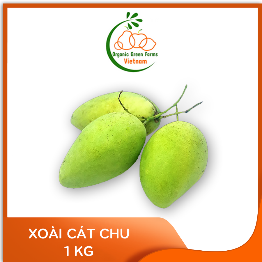 [OGF] - Xoài Cát Chu (1kg) - Giao nhanh HCM