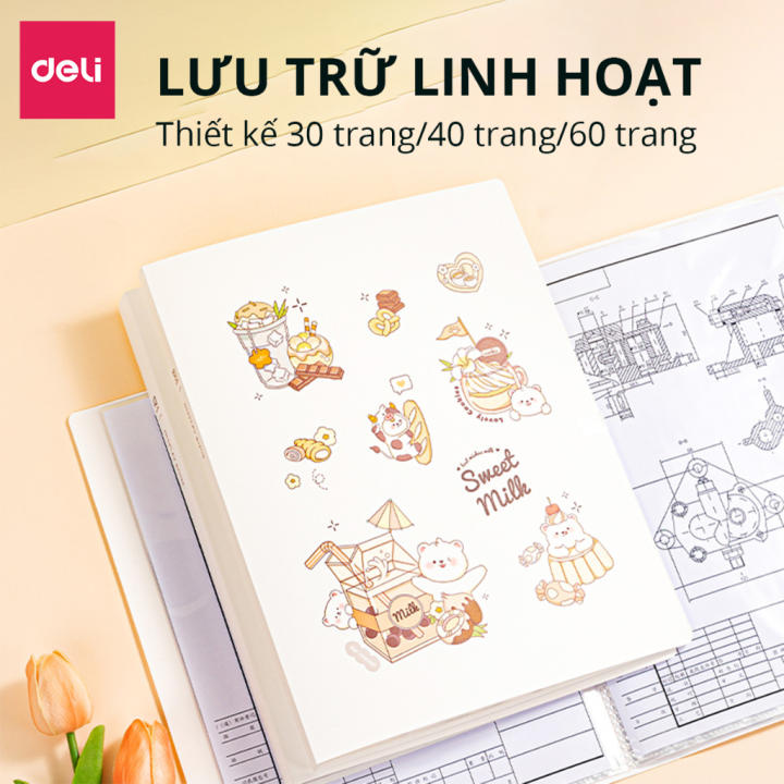 File lá học sinh A4 Deli màu pastel họa tiết cute - 30/40 lá - PQ312 - Hình ảnh 5