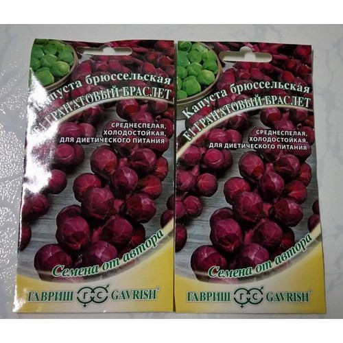 Hạt giống bắp cải tí hon tím - Gói 50 hạt