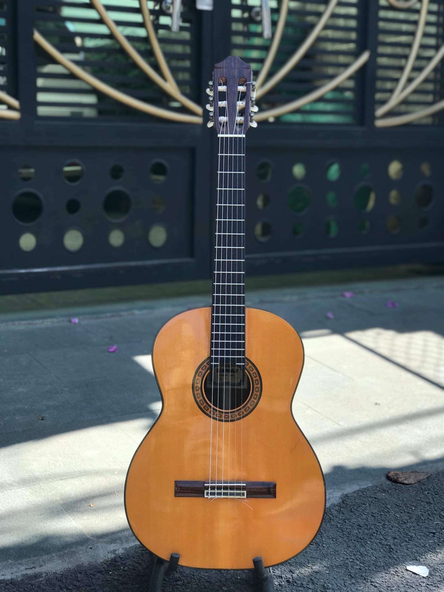 (Miễn Phí Ship) Đàn guitar classic gỗ Mahogany CLMH25