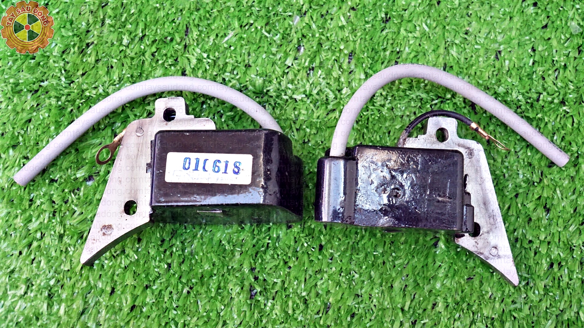 IC CƯA ECHO 281