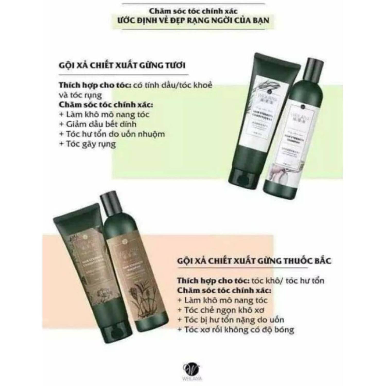 Bộ dầu gội xả gừng Weilaiya