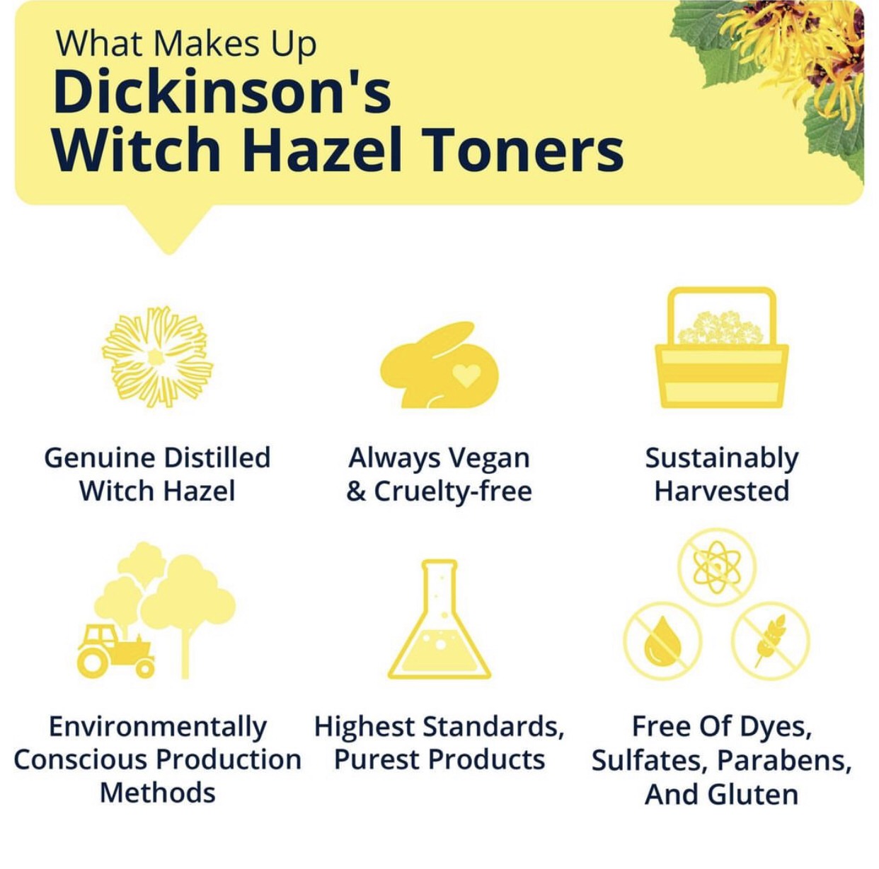 Toner giảm mụn Dickinson's Witch Hazel