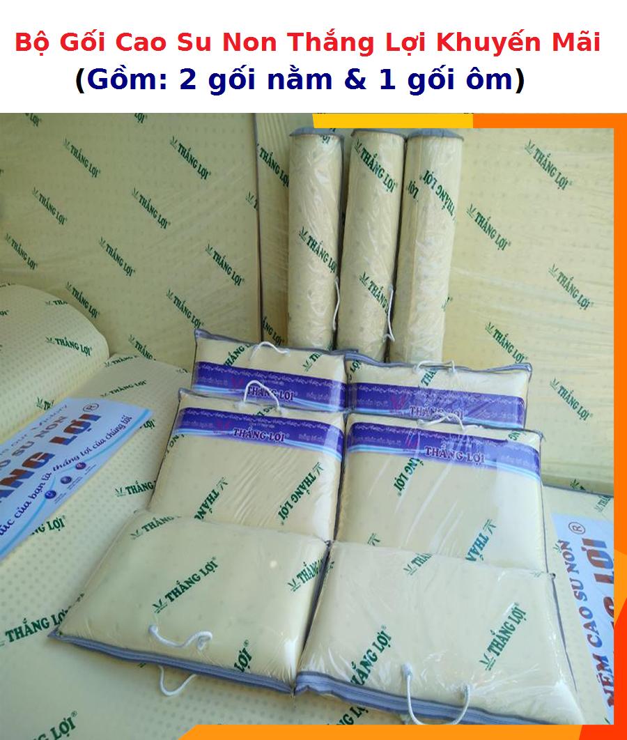 [HCM]BỘ 3 GỐI CAO SU NON THẮNG LỢI (2 Gối Nằm 40*60cm + 1 Gối Ôm),
