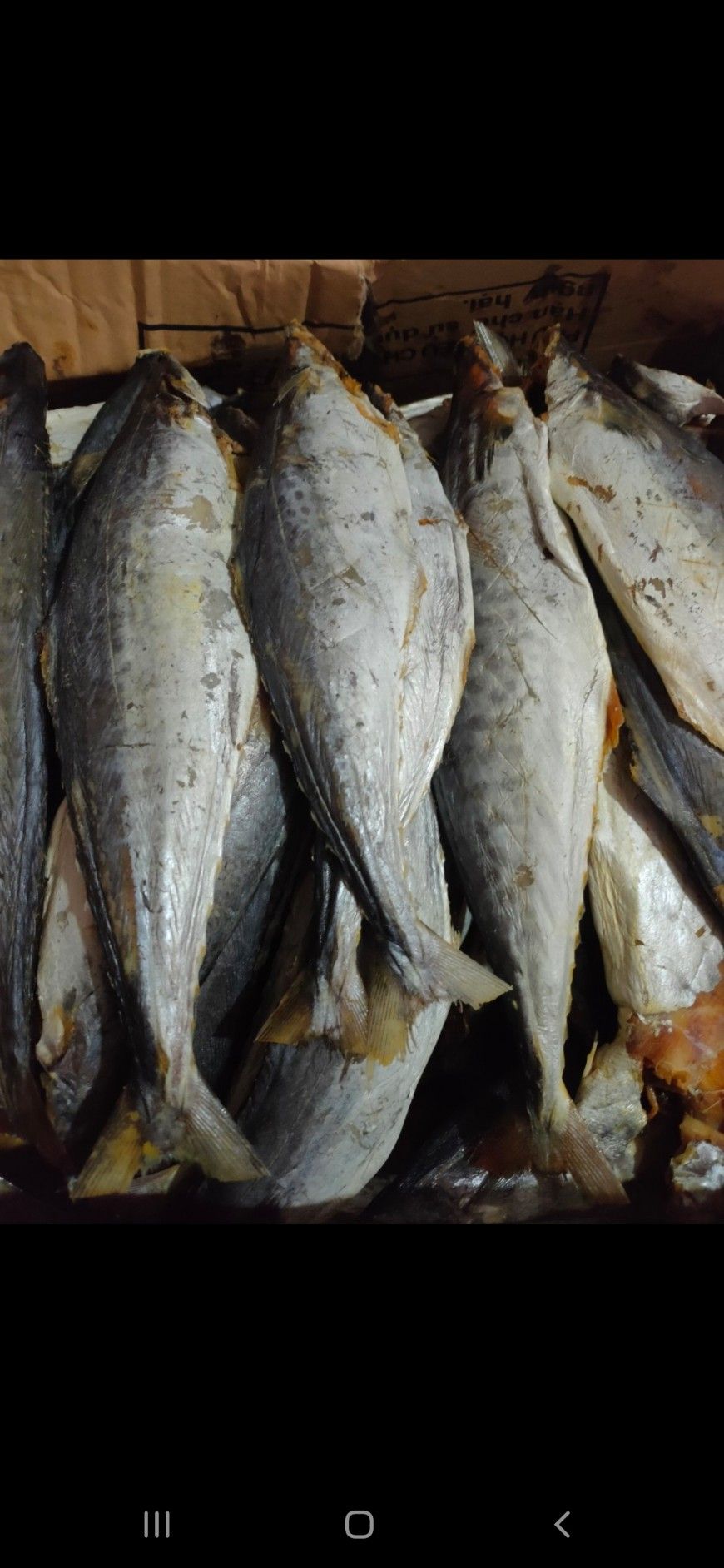 1kg Cá Thu khô loại to ngon