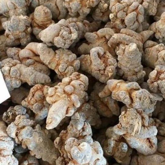 500g củ tam thất bắc