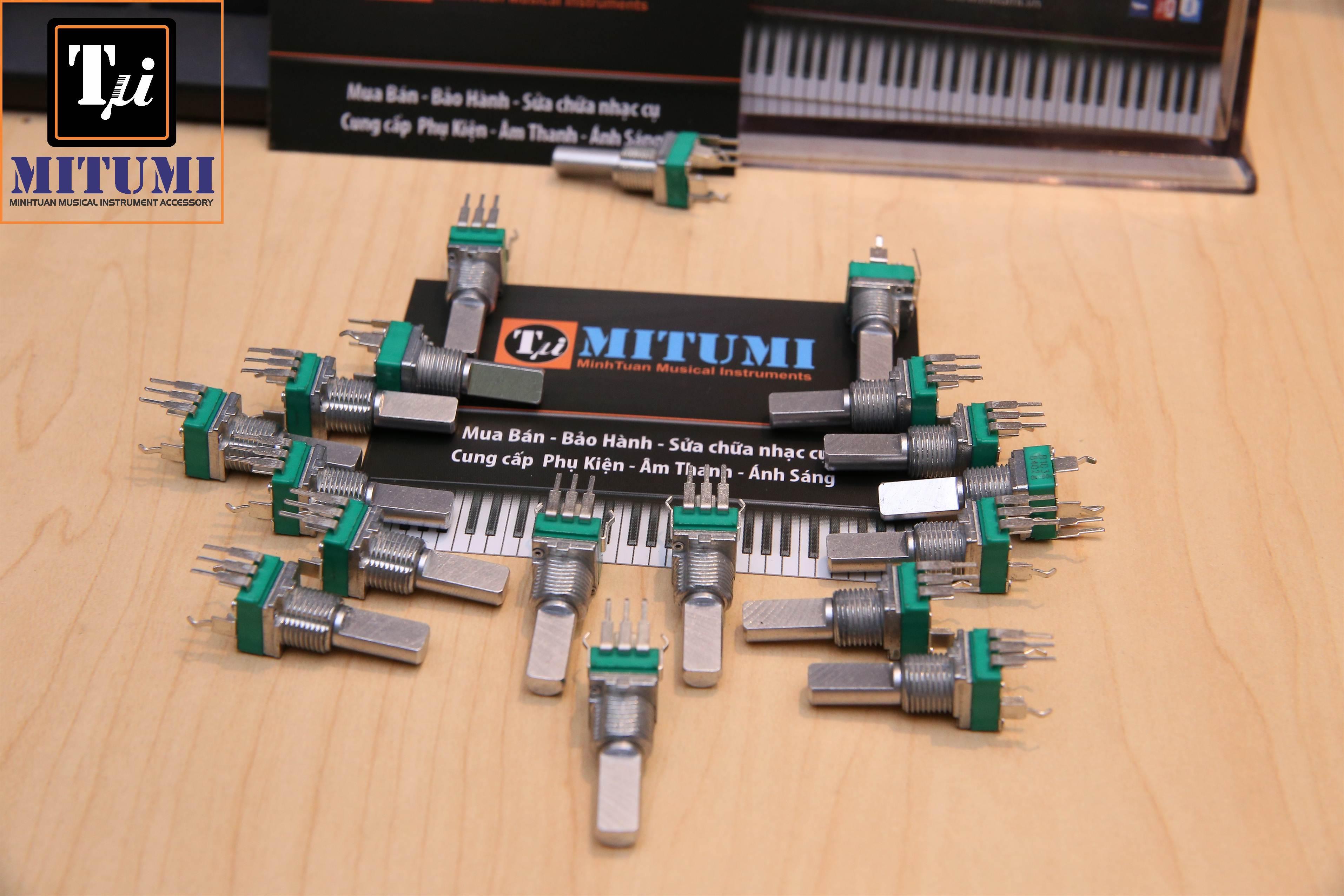 Linh kiện Bend ROLAND BK5 BK9 GW8 EA7 Juno Fantom