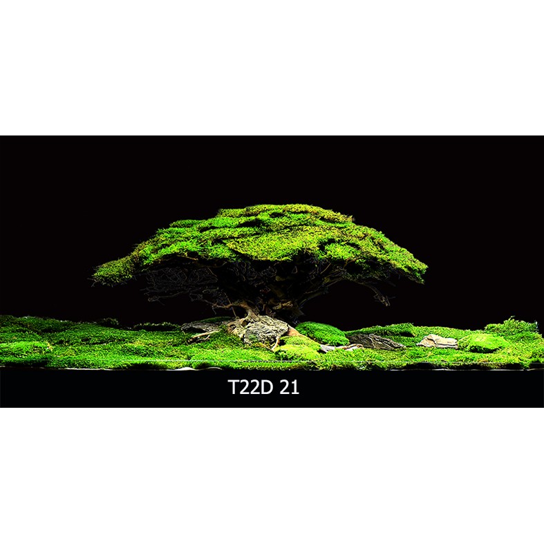 Tranh 3d bể cá t22d-021 kt