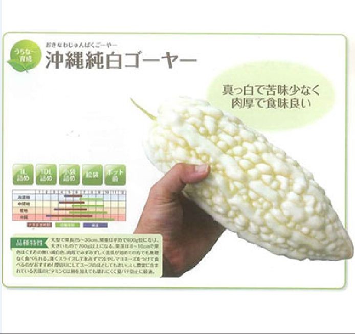 "Gói 5 Hạt " Hạt giống mướp đắng trắng (mướp đắng bạch tuyết)