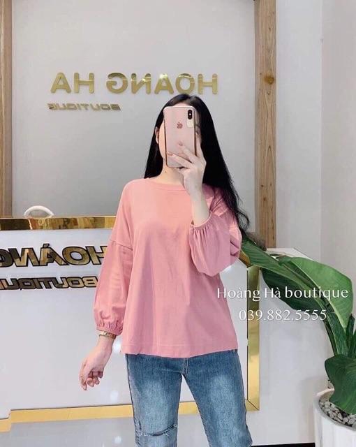 Áo chun tay nhiều màu HARI1119