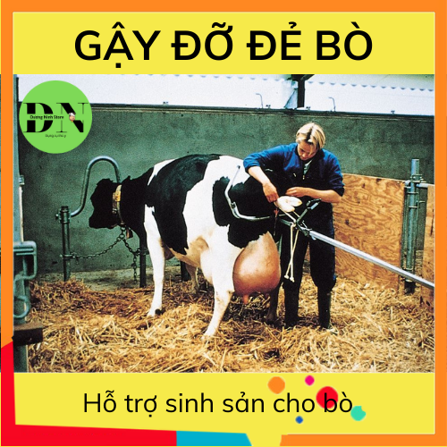 Gậy Đỡ Đẻ Bò - Hỗ trợ sinh sản