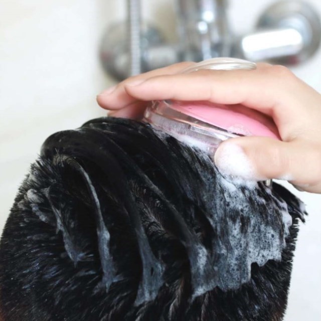Lược Gội Đầu Kiêm Massage Da Đầu Cực Khoái