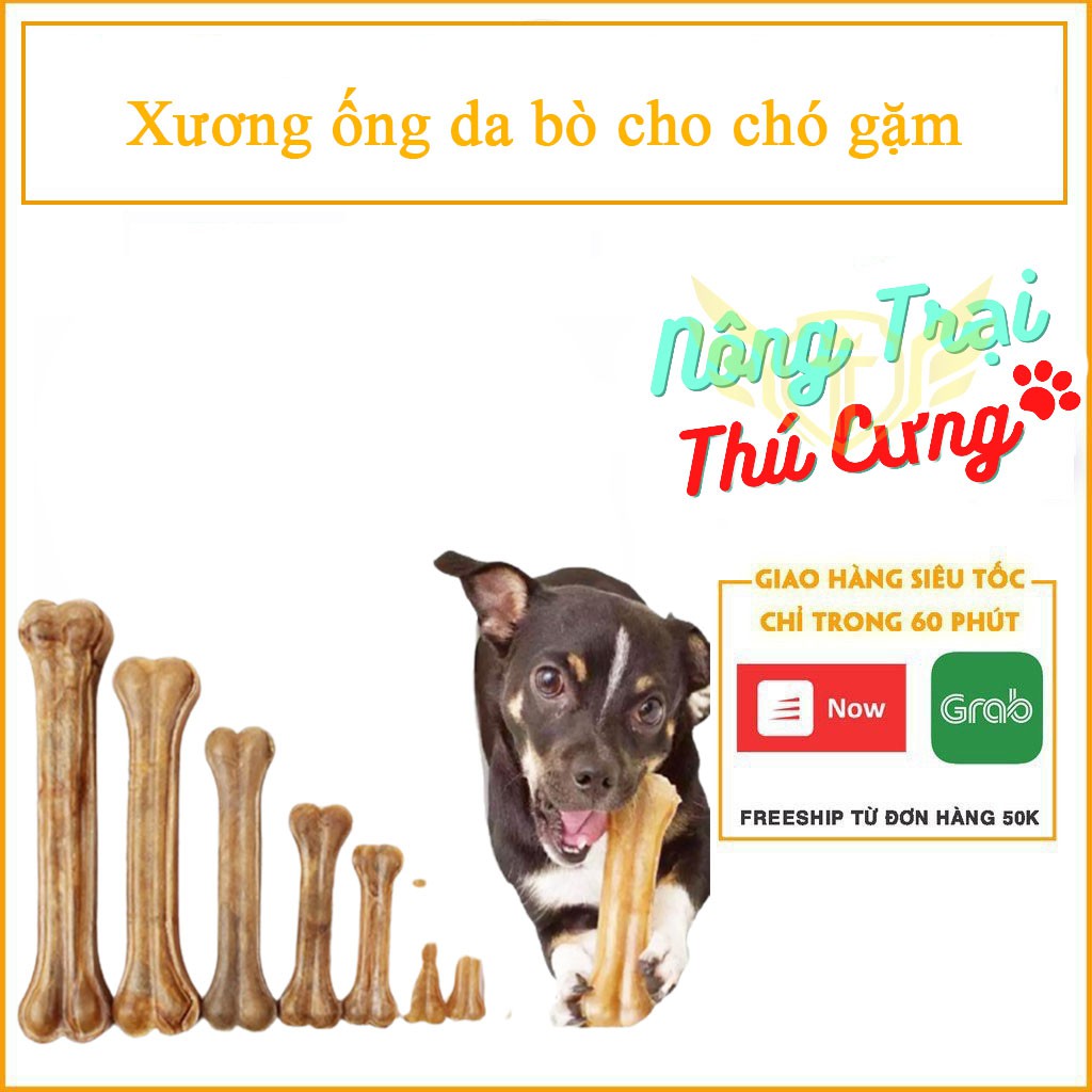 HCM- 1 cái Xương ống da bò cho chó gặm (5 size) phù hợp với nhiều loại chó
