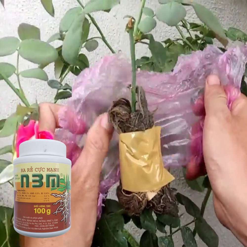 Kích thích ra rễ cực mạnh N3M 100g