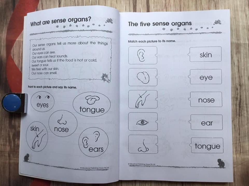 Sách 300 Kindergarten English Math Science  Bộ 3 cuốn