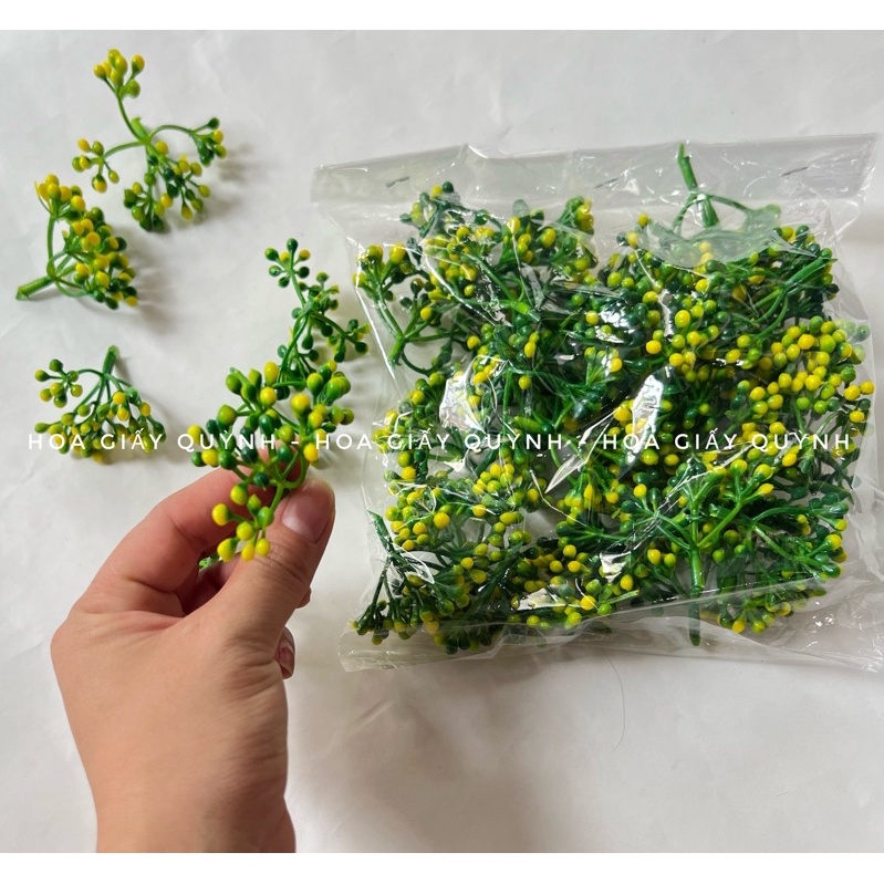 cỏ điểm cụm hạt bi -100gr
