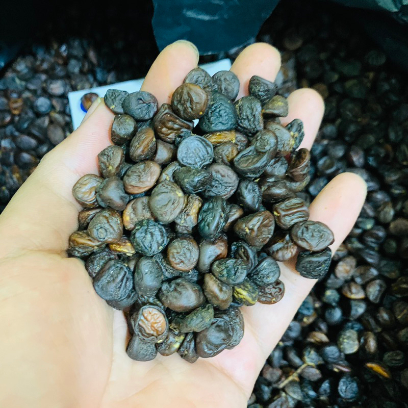 100g Hạt Dổi Rừng (Hạt Dổi Nếp Tây Bắc)
