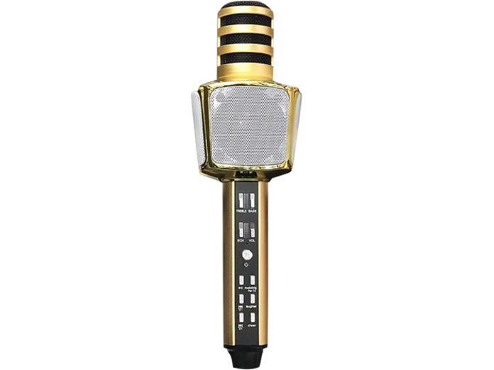 Miccro Karaoke Bluetooth 3 Trong 1 SD-17 Cực Hay