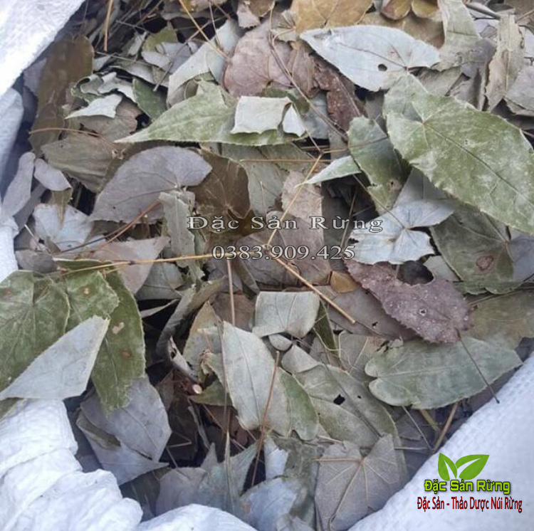 Lá Dâm Dương Hoắc ( 500g ) - Bổ Thận , Tăng sinh lý
