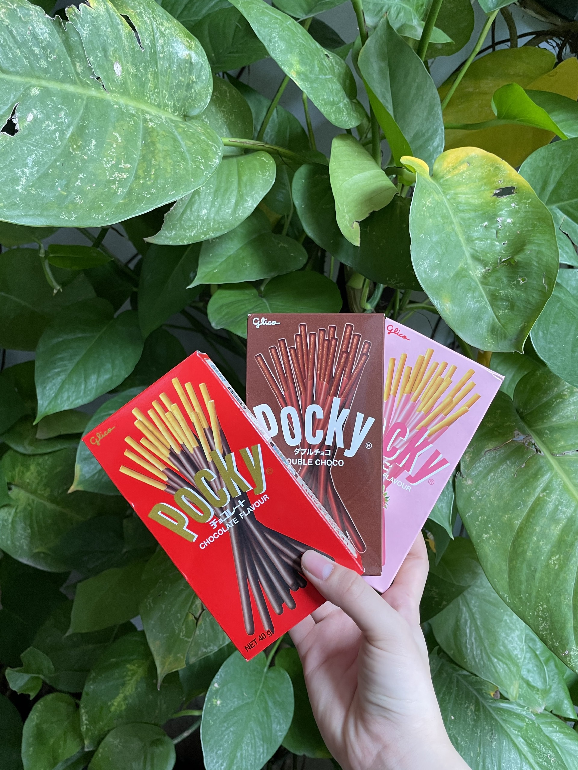 Bánh Que Pocky Kem Sôcôla Chocolate Flavor (Hộp 38g-đỏ)