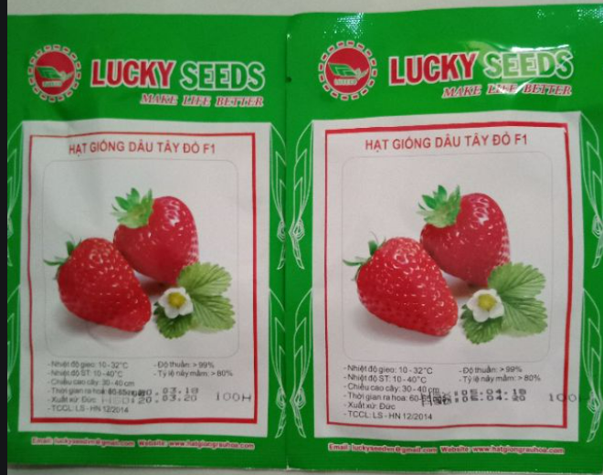 Hạt giống dâu tây lucky gói 100 hạt