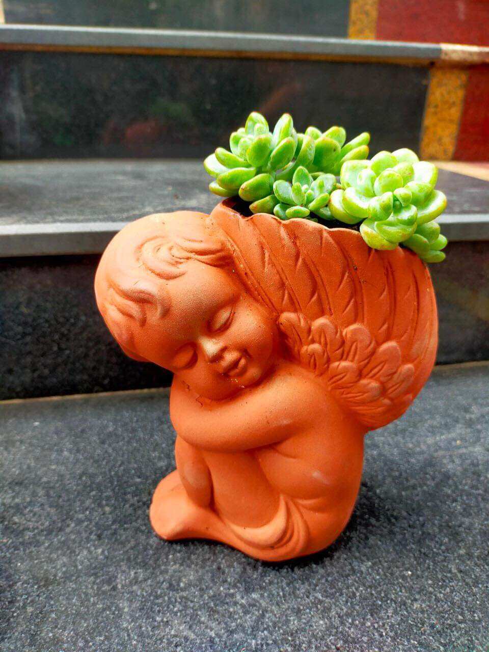 Chậu đất nung hình thiên thần nhỏ