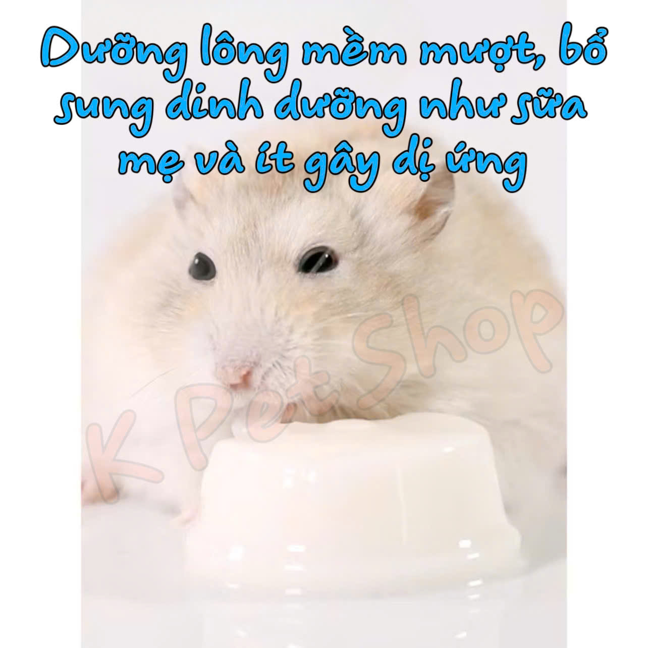 Pudding Sữa Dê Bucatstate Vỗ Béo Hamster 🐹FREESHIP Pudding Goat Milk Ăn Dặm Hamster, Sóc Bay, Sóc, Nhím.