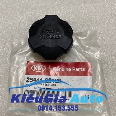Nắp bình nước phụ Hyundai Verna 2006-2010