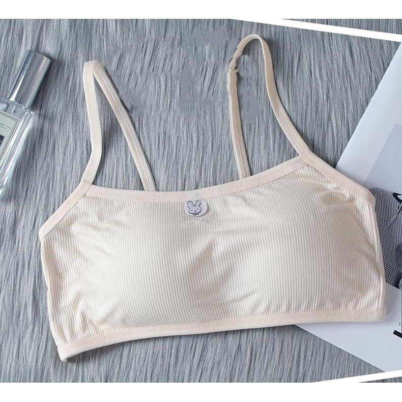 Combo 3 áo lá học sinh cho bé mới lớn (giao màu ngẫu nhiên)