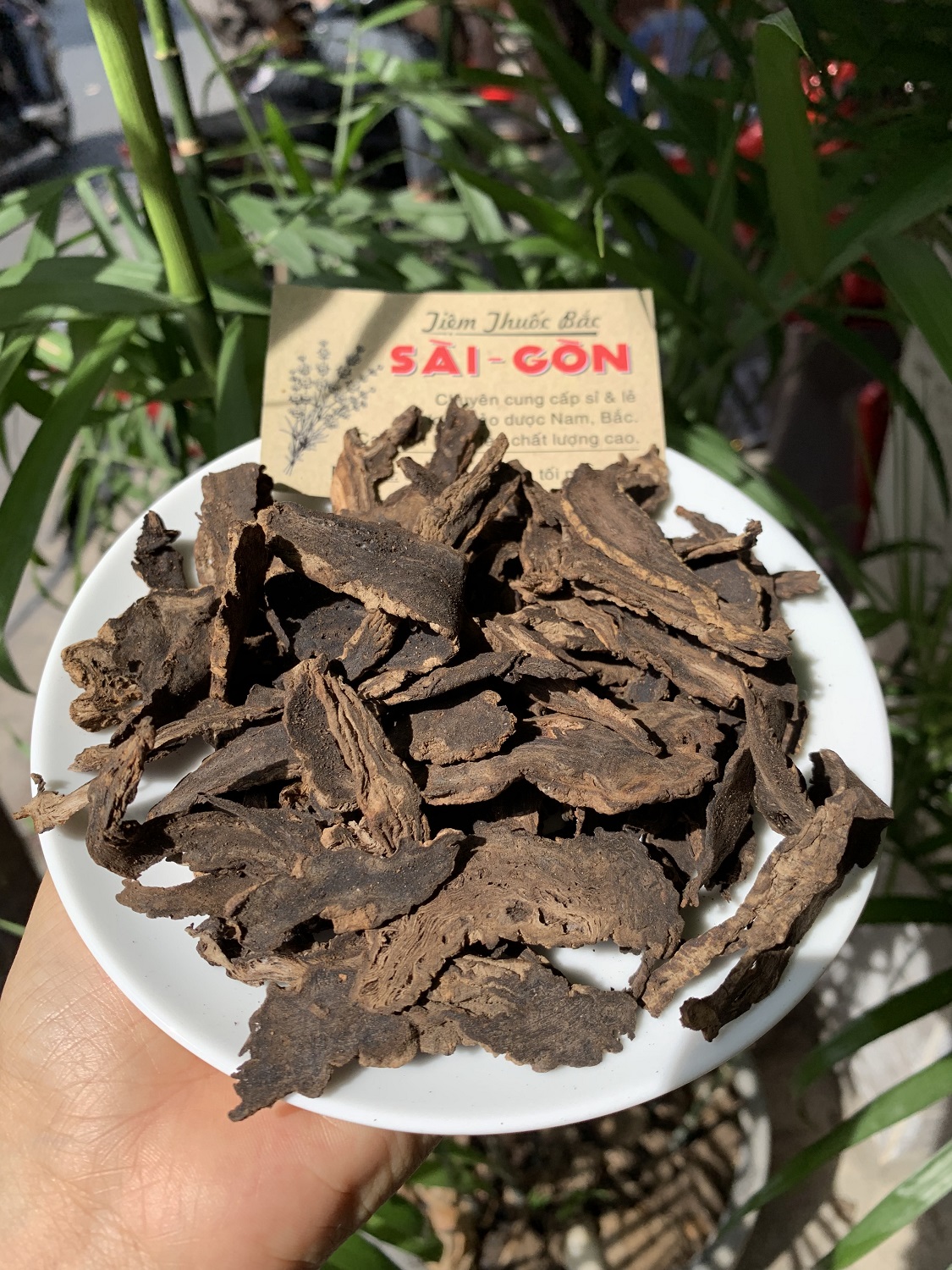 [HCM]HUYỀN SÂM KHÔ 100GRAM Tiệm Thuốc Bắc Sài Gòn