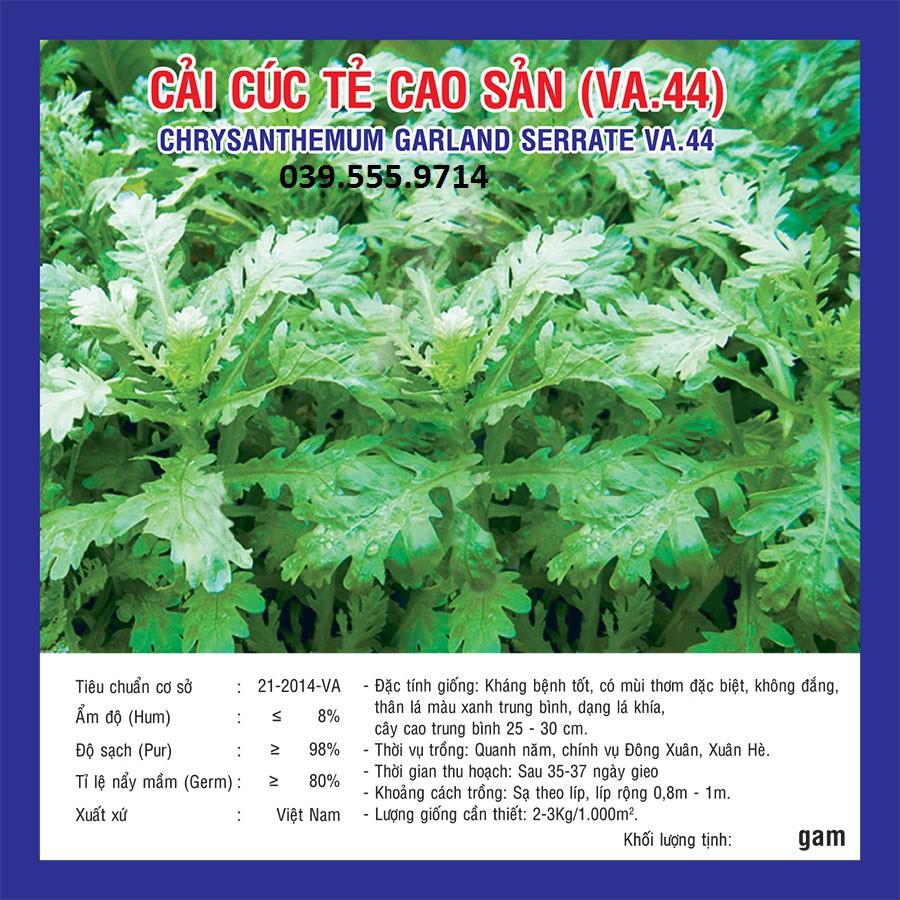 Hạt giống cải cúc tẻ cao sản 20gram