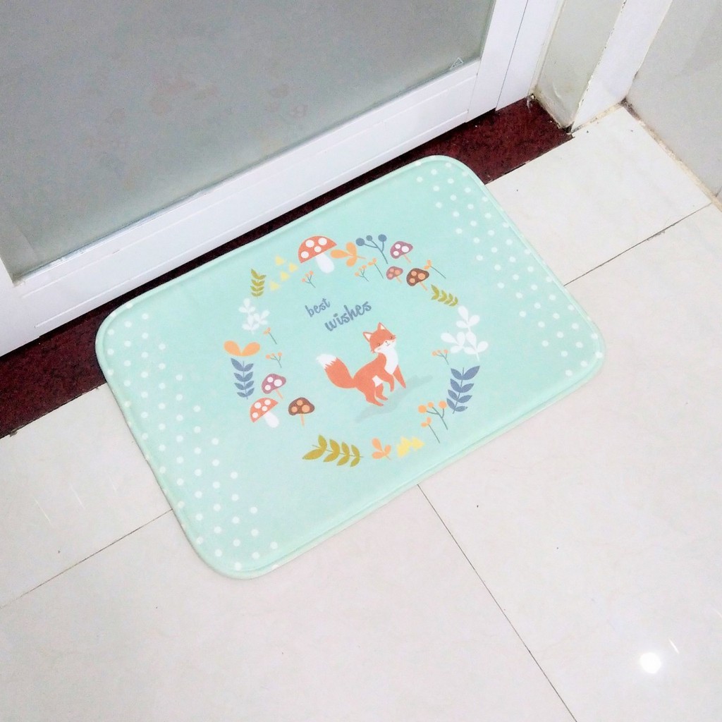 Thảm chùi chân CARMI nhung 40*60 (nhiều mẫu)