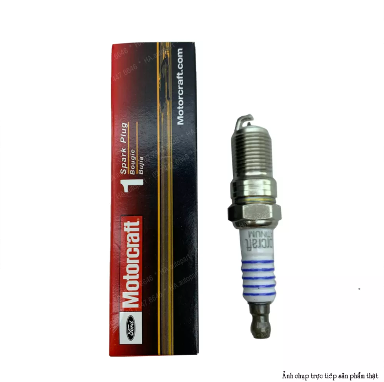 Bugi Motorcraft Platinum Ford chân ngắn