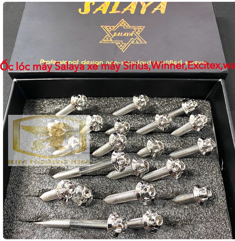 Salaya Bộ ốc lốc máy Inox 304 gắn xe máy,Winner,Exciter,Sirius,Sonic,Wave,Dream,Vario,Future 125,Raider Satria....