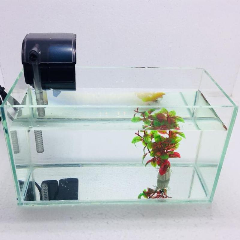 Bể cá mini để bàn 30x13x15cm + Lọc nước